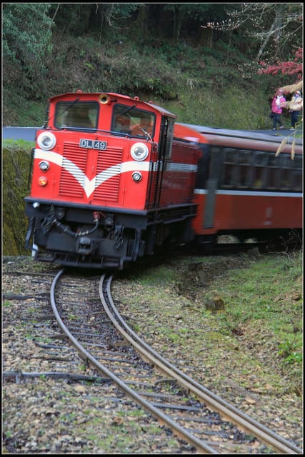 《遊記—嘉義》阿里山二日遊～沼平公園
