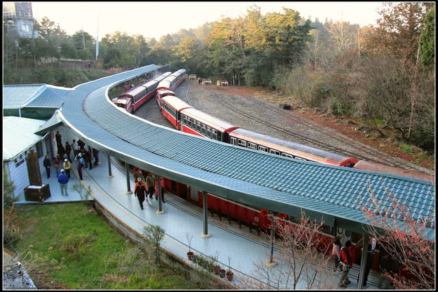 《遊記—嘉義》阿里山二日遊～沼平公園