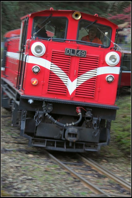 《遊記—嘉義》阿里山二日遊～沼平公園