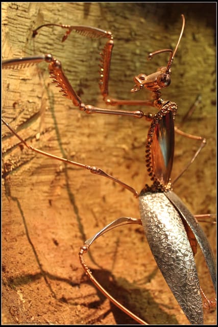 《遊記—台北》幾米世界的角落特展~忘記時間、發呆中‧‧‧