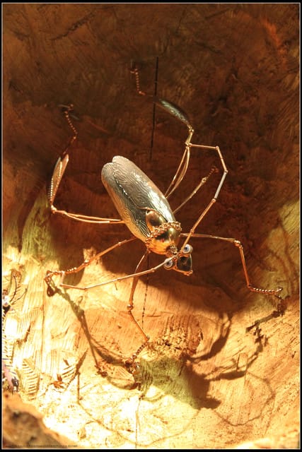 《遊記—台北》幾米世界的角落特展~忘記時間、發呆中‧‧‧