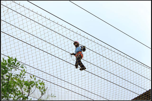 《遊記—宜蘭》2011綠色博覽會