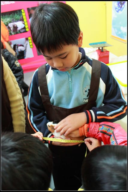 《遊記—宜蘭》2011綠色博覽會