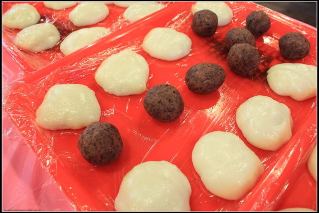 《遊記—宜蘭》2011綠色博覽會