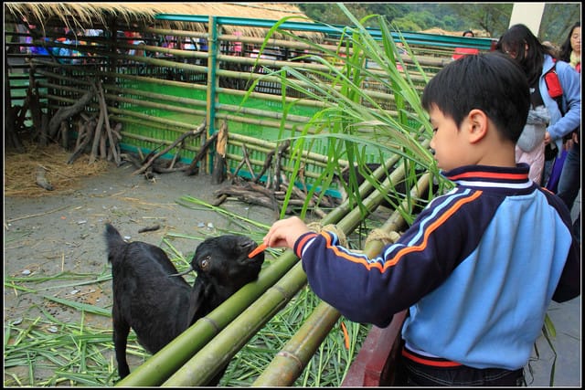 《遊記—宜蘭》2011綠色博覽會