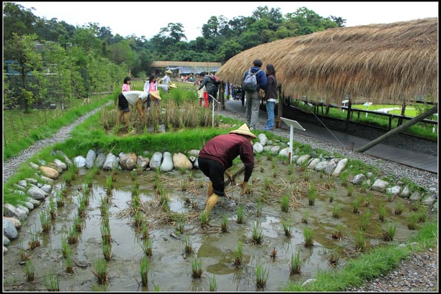 《遊記—宜蘭》2011綠色博覽會