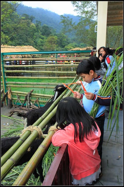《遊記—宜蘭》2011綠色博覽會