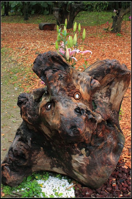 《遊記—宜蘭》2011綠色博覽會