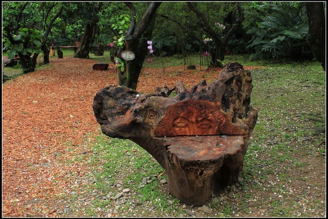 《遊記—宜蘭》2011綠色博覽會