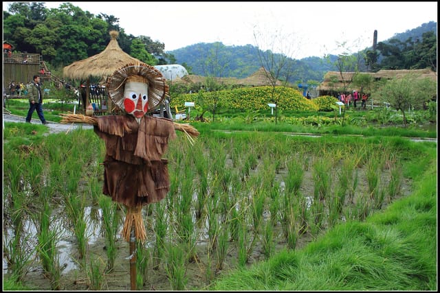 《遊記—宜蘭》2011綠色博覽會