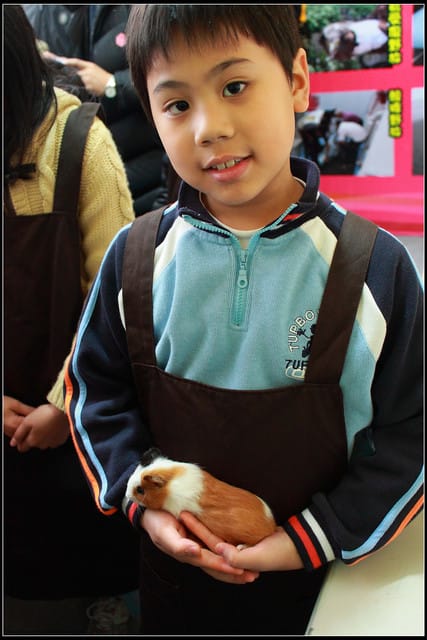 《遊記—宜蘭》2011綠色博覽會