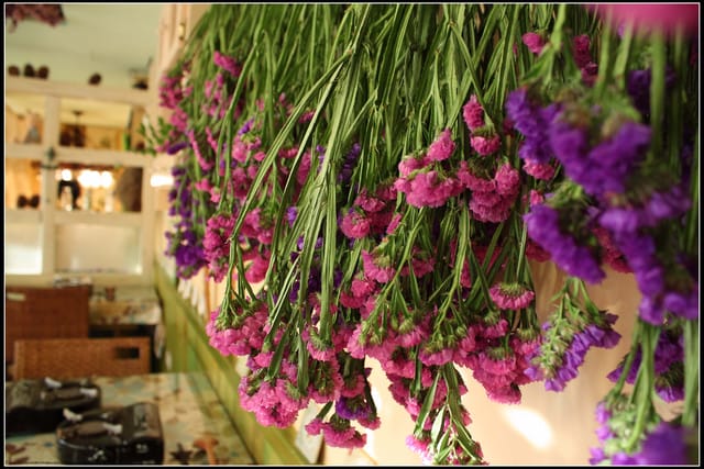 《食記—嘉義》阿里山‧日出有大美~超可愛的餐廳!! - 第21張圖 《食記—嘉義》阿里山‧日出有大美~超可愛的餐廳!!