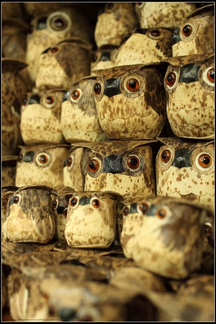 《食記—嘉義》阿里山‧日出有大美~超可愛的餐廳!! - 第58張圖 《食記—嘉義》阿里山‧日出有大美~超可愛的餐廳!!