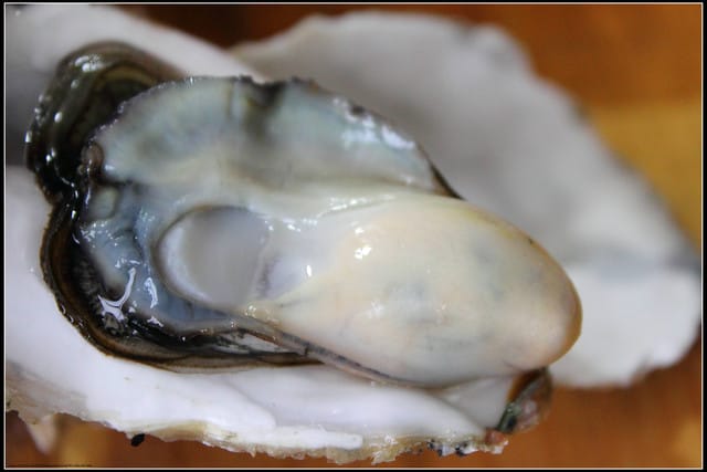 《食記—宜蘭》嘉澎碳烤澎湖牡蠣~小路邊攤大傳奇! - 第19張圖 《食記—宜蘭》嘉澎碳烤澎湖牡蠣~小路邊攤大傳奇!