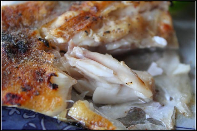 《食記—宜蘭》嘉澎碳烤澎湖牡蠣~小路邊攤大傳奇! - 第15張圖 《食記—宜蘭》嘉澎碳烤澎湖牡蠣~小路邊攤大傳奇!