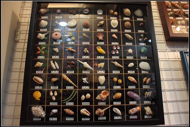 《遊記—宜蘭》白米木屐村～台灣木屐的家