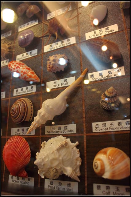 《遊記—宜蘭》白米木屐村～台灣木屐的家