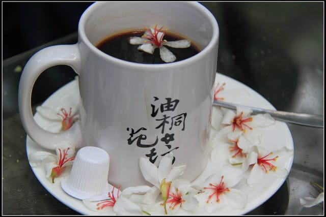 《2011桐花祭—苗栗》油桐花坊