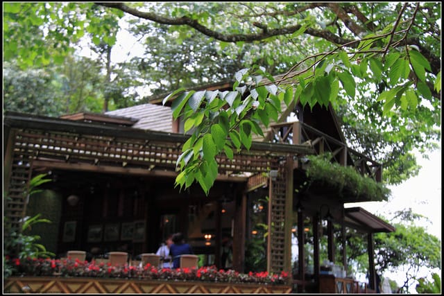 《2011桐花祭—苗栗》油桐花坊