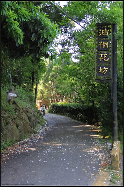 《2011桐花祭—苗栗》油桐花坊
