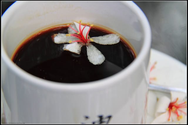 《2011桐花祭—苗栗》油桐花坊