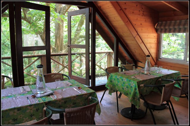 《2011桐花祭—苗栗》油桐花坊