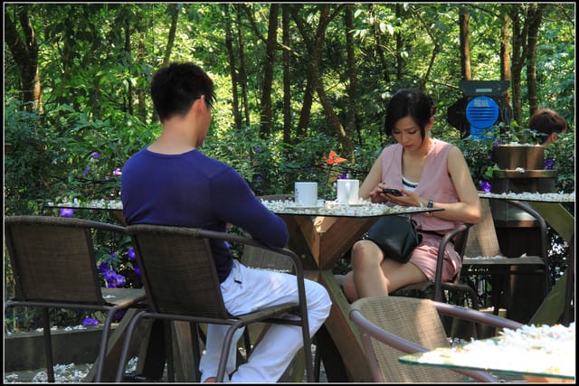 《2011桐花祭—苗栗》油桐花坊