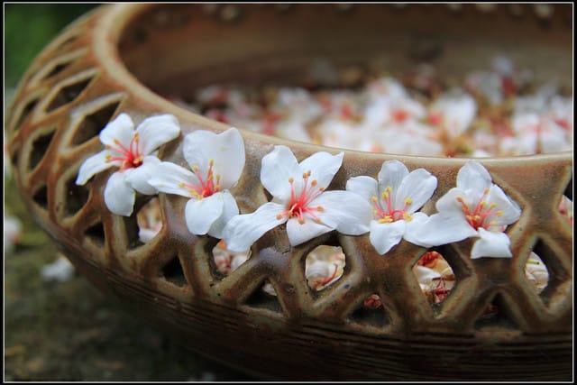 《2011桐花祭—苗栗》油桐花坊