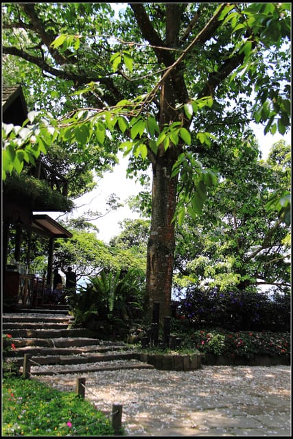 《2011桐花祭—苗栗》油桐花坊