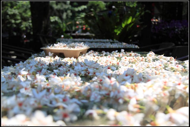 《2011桐花祭—苗栗》油桐花坊