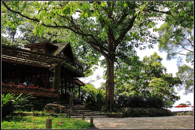 《2011桐花祭—苗栗》油桐花坊