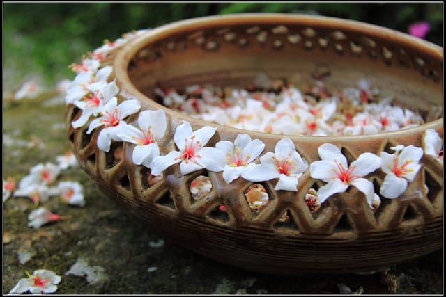 《2011桐花祭—苗栗》油桐花坊