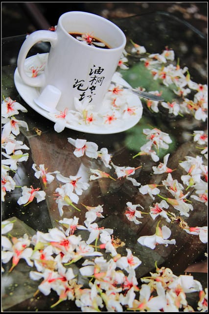 《2011桐花祭—苗栗》油桐花坊