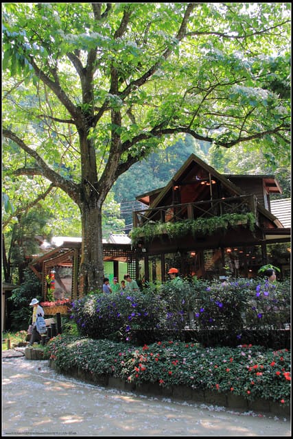 《2011桐花祭—苗栗》油桐花坊