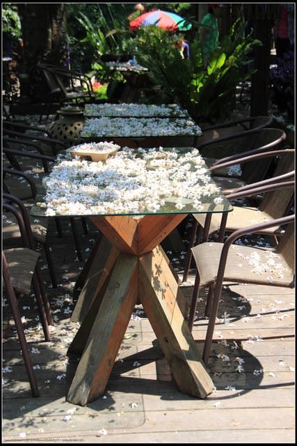 《2011桐花祭—苗栗》油桐花坊