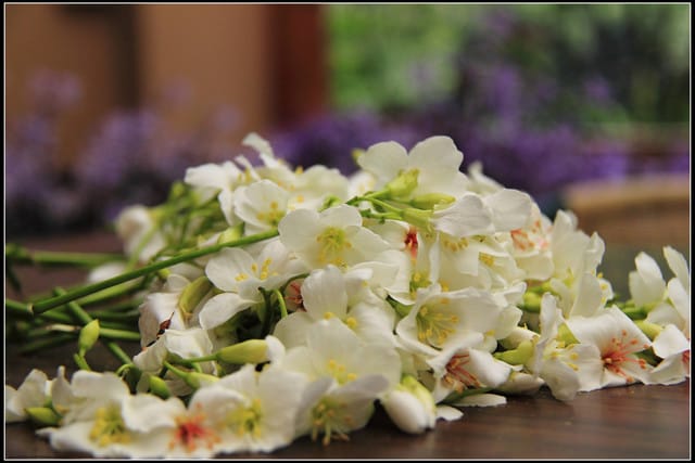 《2011桐花祭—苗栗》油桐花坊