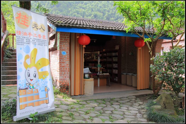 《遊記—苗栗南庄》桂花園鄉村會館 - 第5張圖 《遊記—苗栗南庄》桂花園鄉村會館