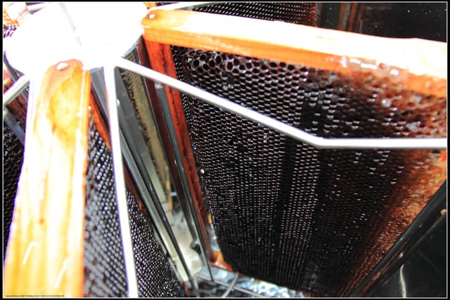 《遊記—苗栗南庄》向天湖