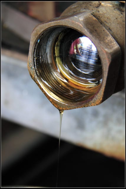 《遊記—苗栗南庄》向天湖