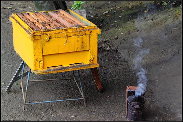 《遊記—苗栗南庄》向天湖