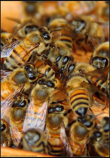 《遊記—苗栗南庄》向天湖