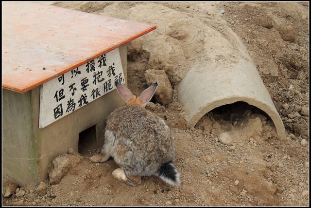 《遊記—苗栗公館》棗莊古藝庭園膳坊（環境篇）