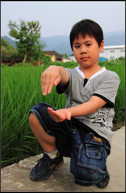 《遊記—苗栗公館》棗莊古藝庭園膳坊（環境篇）