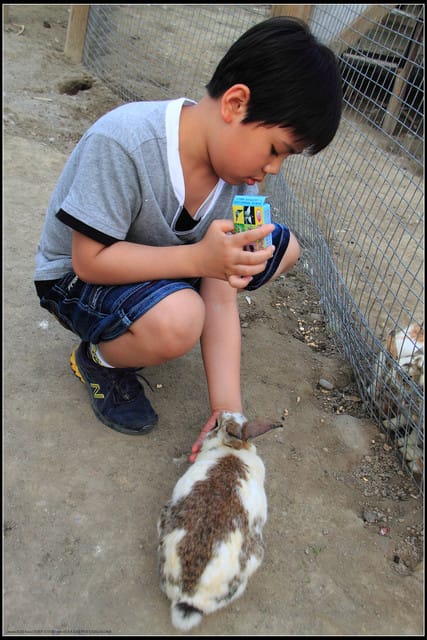 《遊記—苗栗公館》棗莊古藝庭園膳坊（環境篇）