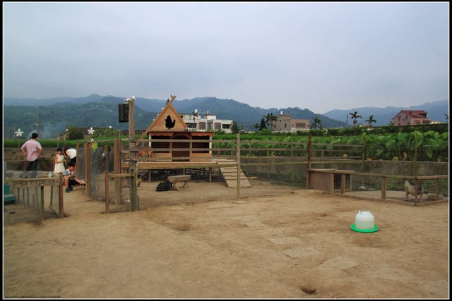 《遊記—苗栗公館》棗莊古藝庭園膳坊（環境篇）
