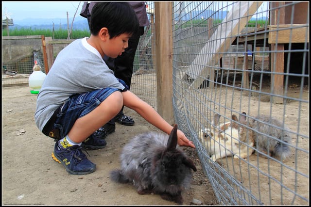 《遊記—苗栗公館》棗莊古藝庭園膳坊（環境篇）