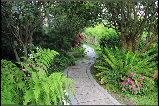 《遊記—苗栗公館》棗莊古藝庭園膳坊（環境篇）