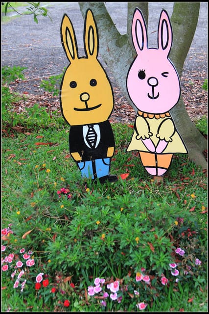 《遊記—苗栗公館》棗莊古藝庭園膳坊（環境篇）