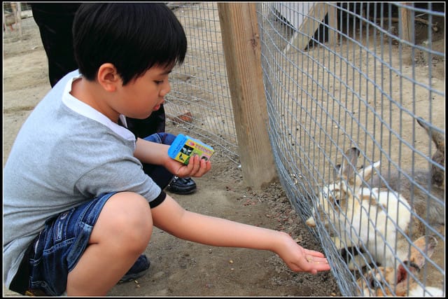 《遊記—苗栗公館》棗莊古藝庭園膳坊（環境篇）