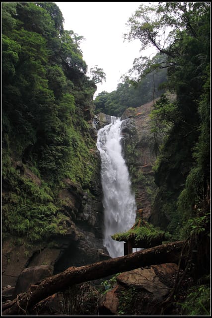 《遊記—桃園復興》小烏來天空步道~膽小勿試！